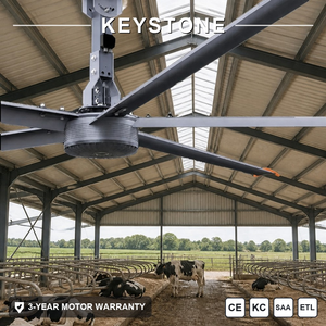 พัดลมเพดาน HVLS แบบ Low Maintenance สำหรับโรงเรือนเลี้ยงโคหลายหลังในลานเลี้ยงสัตว์ ยี่ห้อ Keystone - Product Image 1