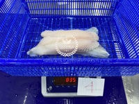 Filet de Pangasius Hypophthalmus du Vietnam surgelé, processus de congélation LQF, nutritif, 80% NW, certifié HALAL, sac de 1 kg, TAKIMEX Seafood