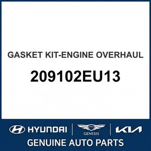 ปะเก็นและซีลใหม่ของเอลันตร้า 209102EU13 - Product Image 1