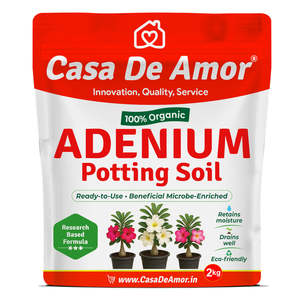 Casa De Amor Adenium Organic Reusable Grow <b>Bag</b> Ready to Use Beneficial Microbe Enriched for Home <b>Garden</b> - Product Image 1