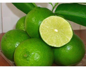 Meilleures ventes : Tranches de citron vert sans pépins lyophilisées AD, qualité alimentaire, garniture pour boissons, emballage sous vide, en vrac, norme export 2026 - Product Image 4
