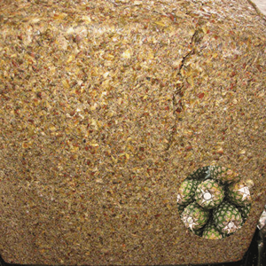 Gran Oferta: Alimento para Ganado de Primera Calidad Hecho en Vietnam, Ensilaje de Cáscara de Piña Empacado en Bolsa Jumbo de 500 kg - Product Image 1