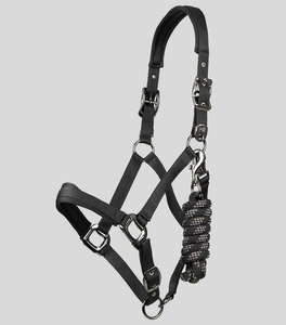 Harnais de cheval durable au design anglais traditionnel, personnalisable, ajustement confortable pour l'entraînement et la manipulation quotidiens, avec options OEM et ODM - Product Image 2