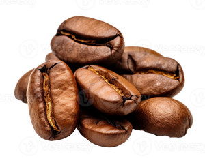 PREMIUM 100% ARABICA GREEN COFFEE BEANS RAW UNROASTED BULK SUPPLY FOR ROASTERS - Product Image 2