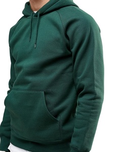 Sudaderas con capucha de logotipo personalizado de alta calidad 500 Gsm Sudadera con capucha 100% algodón Heavyweight Fleece Blank Oversized Plus ALL Size Hoodies - Product Image 1