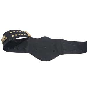 This is a of the iconic WWF/WWE Winged Eagle Championship Title Belt - Product Image 5