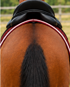 Tapis de selle d'équitation en tissu confortable de couleur rouge, doublure en tissu, compression, lavable, antidérapant, pour l'entraînement et la compétition équestre - Product Image 5