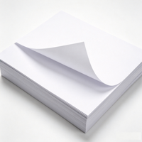 Papier A4 80 g/m² à bords micro-perforés pour une séparation propre et sans déchirure