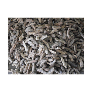 ¡GRAN OFERTA! Pepino de mar seco - Alta calidad y mejor precio de proveedor vietnamita 2022 - PRECIO COMPETITIVO - Product Image 6