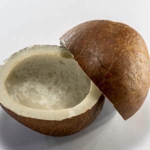 Coco Seco Natural Maduro Entero con Cáscara Dura, Apariencia Limpia y Buen Equilibrio de Humedad para Suministro a Granel - Product Image 6