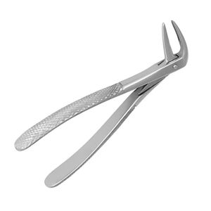 Forceps d'extraction dentaire à becs parallèles pour racines inférieures, modèle anglais, réutilisable, manuel, en acier inoxydable, kit dentaire Shuja Surgico - Product Image 6