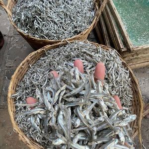 ปลาแอนโชวี่แห้งพรีเมียมคุณภาพดี อาหารทะเลแห้งแบบยั่งยืน ขายส่งสำหรับร้านอาหารและธุรกิจจัดเลี้ยง - Product Image 6