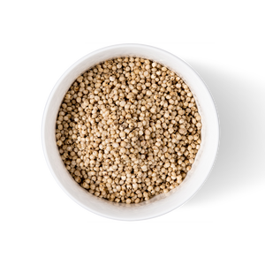 เมล็ดข้าวฟ่างขายส่งจำนวนมากสำหรับอุตสาหกรรมอาหารและอาหารสัตว์ - Product Image 6