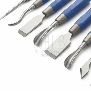 Juego de Cinceles para Huesos de Acero Inoxidable de Precisión, Instrumentos Quirúrgicos Ortopédicos, Herramientas de Corte y Modelado para Cirugía Ortopédica - Product Image 6