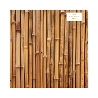 Vente en gros Poteau en bambou naturel écologique solide Support pour plantes de jardin Origine du Vietnam Taille personnalisée Durée de conservation de 2 ans