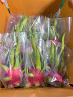 Vers Wit Vlees Dragon Fruit Uit Vietnam Groene Huid Zoete Smaak Van Hoge Kwaliteit Verpakt Voor Export Groothandel En Detailhandel