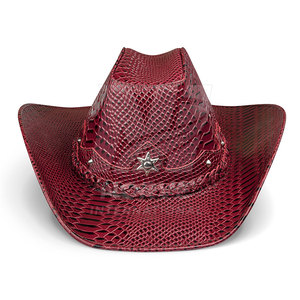 Sombrero de vaquero cómodo y a la moda para exteriores, diseñado para uso práctico y con un estilo elegante. - Product Image 6