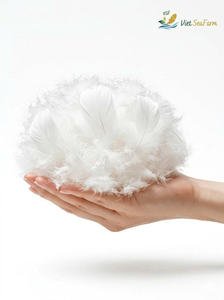 Plumas de Pato Blanco de Alta Calidad 2026, Procesadas y Limpias, Suministro a Granel de Vietnam para Relleno de Almohadas y Cojines, Exportación - Product Image 4