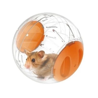Mainan Bola Jogging Tikus Plastik Kecil 4 Warna untuk Hewan Peliharaan, Bola Latihan Hamster Transparan dan Bernapas Tanpa Braket
