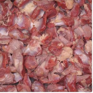 Gizzards de Pollo Congelados Ricos en Proteínas (18%), Gizzards de Pollo Seleccionados para Compradores que Requieren Suministro a Granel Enfocado en Nutrientes - Product Image 3