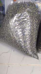 Flor de guisante mariposa seca de calidad de exportación directa de fábrica, fabricante de Vietnam, flor de guisante mariposa seca a granel para bebidas - Product Image 6