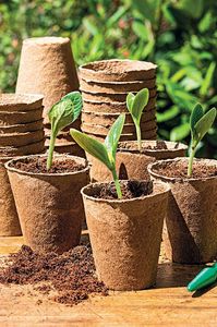 Eco-Friendly Coconut Coir Pots for Healthy <b>Plant</b> Growth - Product Image 6
