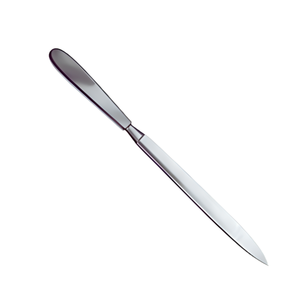 Cuchillo de Autopsia de Hoja Fija de 20 cm de Grado Hospitalario, Instrumento de Patología de Acero Inoxidable, Venta al por Mayor OEM - Product Image 4