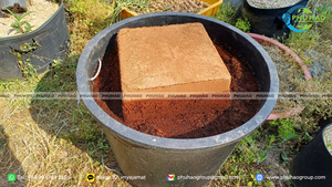 Bloque de fibra de coco comprimida de 5 kg, artículo popular, con bajo valor de EC y 95% de pureza para viveros de plántulas y cultivo en invernadero. - Product Image 5