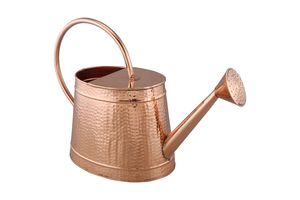 Industrial Grade Metal <b>Garden</b> <b>Cane</b> For Supporting Heavy Plants In Backyard Gardening Applications - Product Image 5