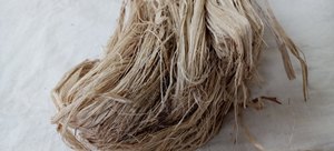 Fibra de plátano 100% natural extraída del pseudostelo del plátano para la fabricación de textiles, cuerdas, alfombras y artesanías. - Product Image 2