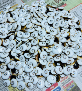 Cabujón de Concha de Ojo de Shiva 100% Natural, Precio al por Mayor, Alta Calidad, Gema de Concha de Ojo de Shiva, Cabujón Semiprecioso para Joyería - Product Image 4