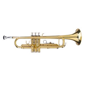 Set di Guanti per Tromba di Alta Qualità Regolabili con Tono Drop B, in Ottone e Acciaio, Stile Dorato Liscio - Product Image 2