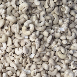 เวียดนาม ผู้จัดจำหน่ายเม็ดมะม่วงหิมพานต์ดิบคุณภาพสูง น้ำหนัก 10 กก. WW180 เม็ดมะม่วงหิมพานต์ซานติโก เวียดนาม ส่งออกไปยังเอเชีย สหภาพยุโรป และตะวันออกกลาง - Product Image 1