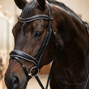 Bridon de dressage anatomique en cuir de qualité supérieure avec garniture argentée, bordure en cristal, boucles en acier inoxydable robustes, logo personnalisé - Product Image 4