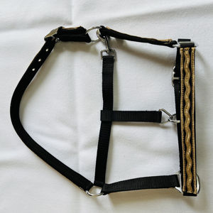 Harnais de cheval en nylon durable et confortable, avec garniture décorative dorée, muserolle réglable, pour l'entraînement et l'utilisation en écurie - Product Image 3