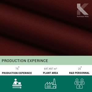 Tela Elástica de Algodón y Spandex al por Mayor, 300 GSM, 95% Algodón, 5% Elastano, Hilo Peinado, Peso Medio, Tejido de Sarga Roto para Prendas - Product Image 5