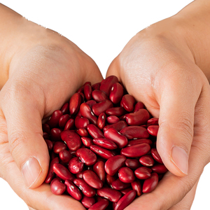 Nouvel Arrivage – Haricots Rouges en Gros, Qualité Supérieure, Prêts à Expédier, Meilleures Ventes à l'Exportation - Product Image 5