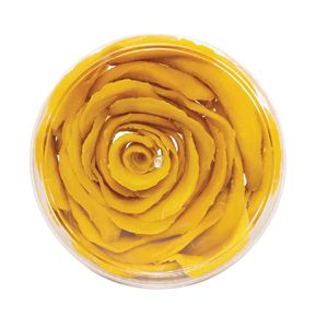 Vietnam Soft Dried Mango Slices OEM ODM Factory Export Manufacturer Wholesale Supplier Private Label Custom Packaging <b>Solutions</b> - Product Image 1