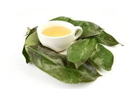 ชาใบฝรั่งอบแห้งคุณภาพพรีเมียม ชาดำหมัก ปราศจากคาเฟอีน ออร์แกนิก ไม่เติมน้ำตาล ชาเกรดพรีเมียม ชงด้วยน้ำร้อน ดีต่อสุขภาพ - Product Image 6