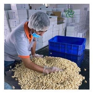 Nueces de Anacardo Orgánicas W240 de la Mejor Calidad, Exportadas del Reino Unido, Proveedor Internacional Líder de Nueces de Anacardo - Product Image 1
