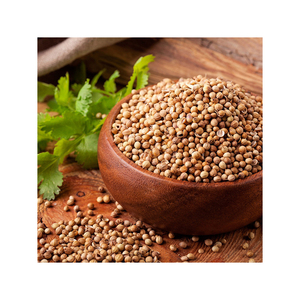 Polvo de semillas de cilantro 100% natural de primera calidad, precio de semillas de cilantro secas. - Product Image 1