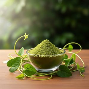 Poudre de Giloy Biologique 100g – Complément Herbal Ayurvédique pour l'Immunité – Sachet Doypack - Product Image 4