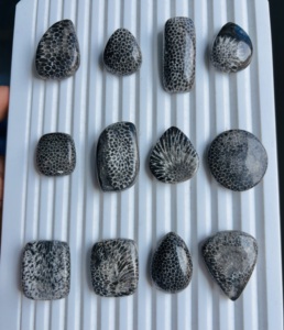 Natural Black Fossil Coral Loose Gemstone High Grade Handmade Gemstone for Decoration and Making Jewellery - Product Image 3