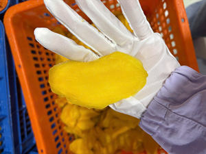 Mango Deshidratado Natural Procesado AD, Snack Dulce y Masticable, Paquete a Granel, Origen Vietnam - Product Image 3