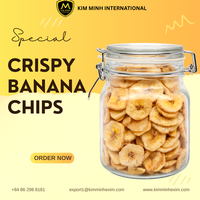 Premium knapperige bananenchips uit Vietnam _ Betrouwbare groothandel voor importeurs & distributeurs