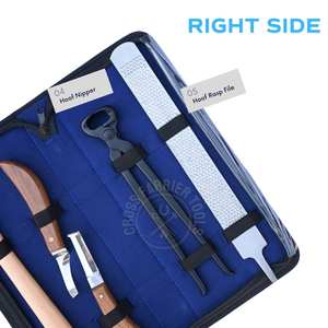 Kit de Herramientas Duraderas para Herradores Profesionales, para Trabajo de Pezuñas, con Martillo para Clavos, Cortaúñas para Pezuñas, Lima de 12 Pulgadas, Cuchillo Curvo de Doble Cara - Product Image 3