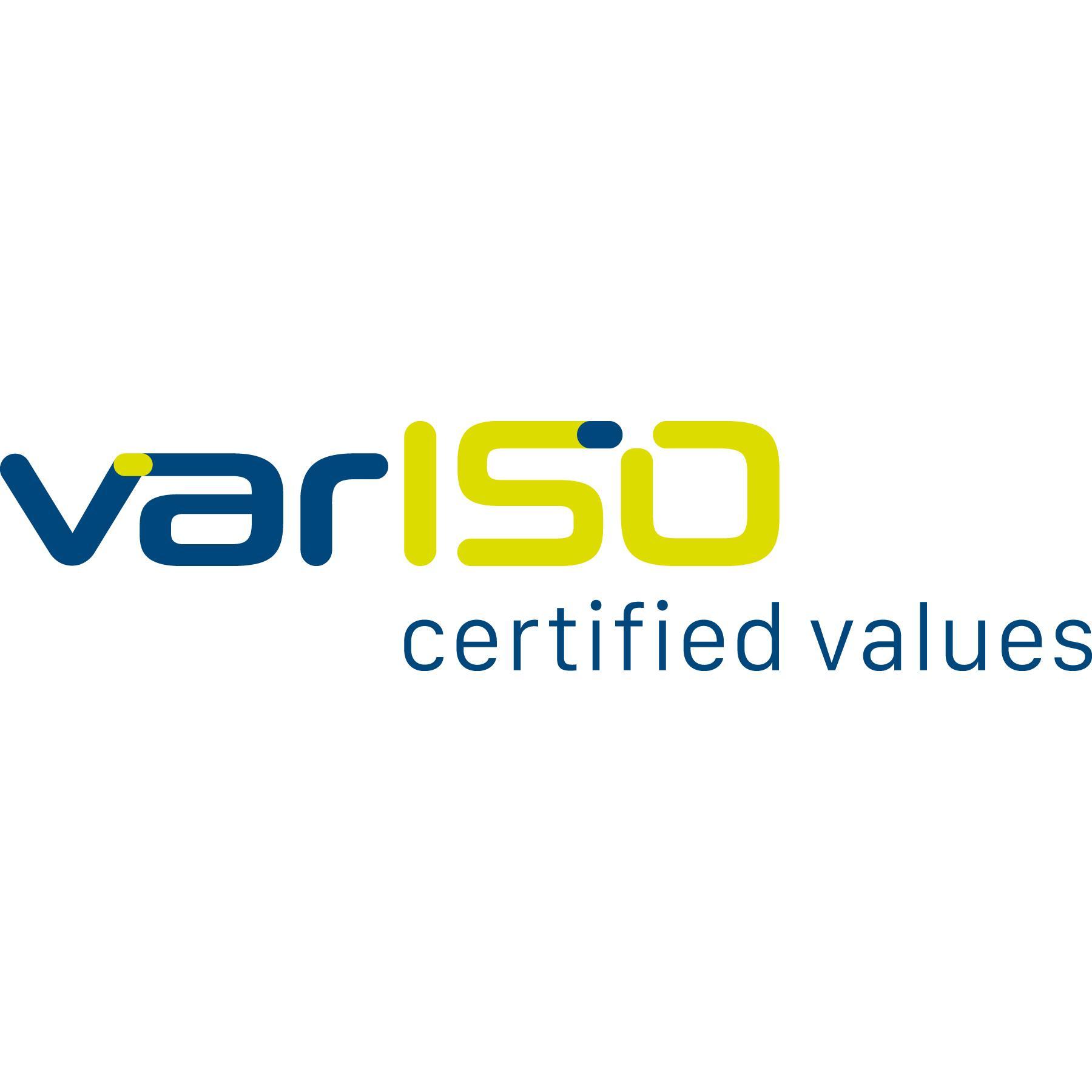 varISO GmbH logo