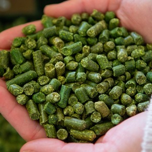 Pellets de Alfalfa Premium para Vacas Lecheras, Mejora la Producción de Leche, Fortalece Huesos y Músculos - Product Image 4