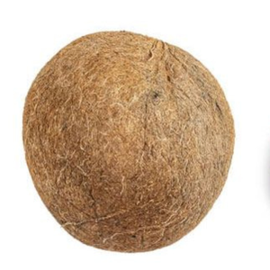 Coques de noix de coco brutes concassées en vrac du Tamil Nadu, bio-charbon durable pour la fabrication de combustible de grillades, durée de conservation de 3 ans, qualité A supérieure - Product Image 2