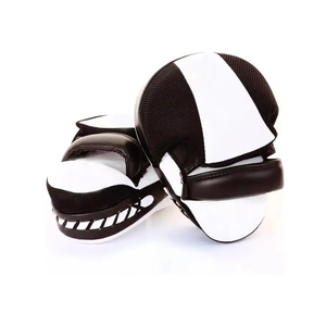 Pads de boxe légers de qualité supérieure pour l'entraînement, design professionnel, matériau solide, Focus Mitts - Product Image 1